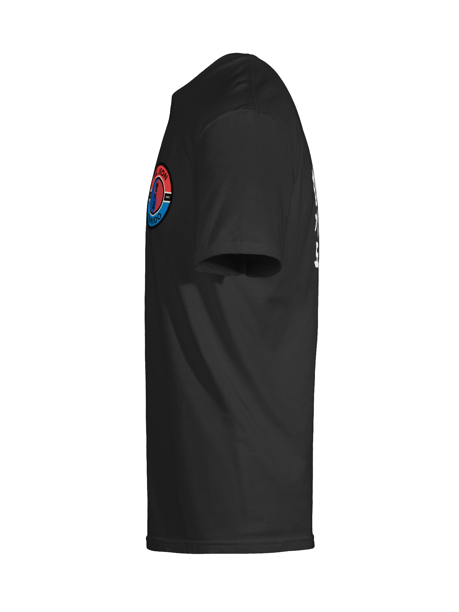 SilJeon Hapkido Organization Shirt! product image (8)