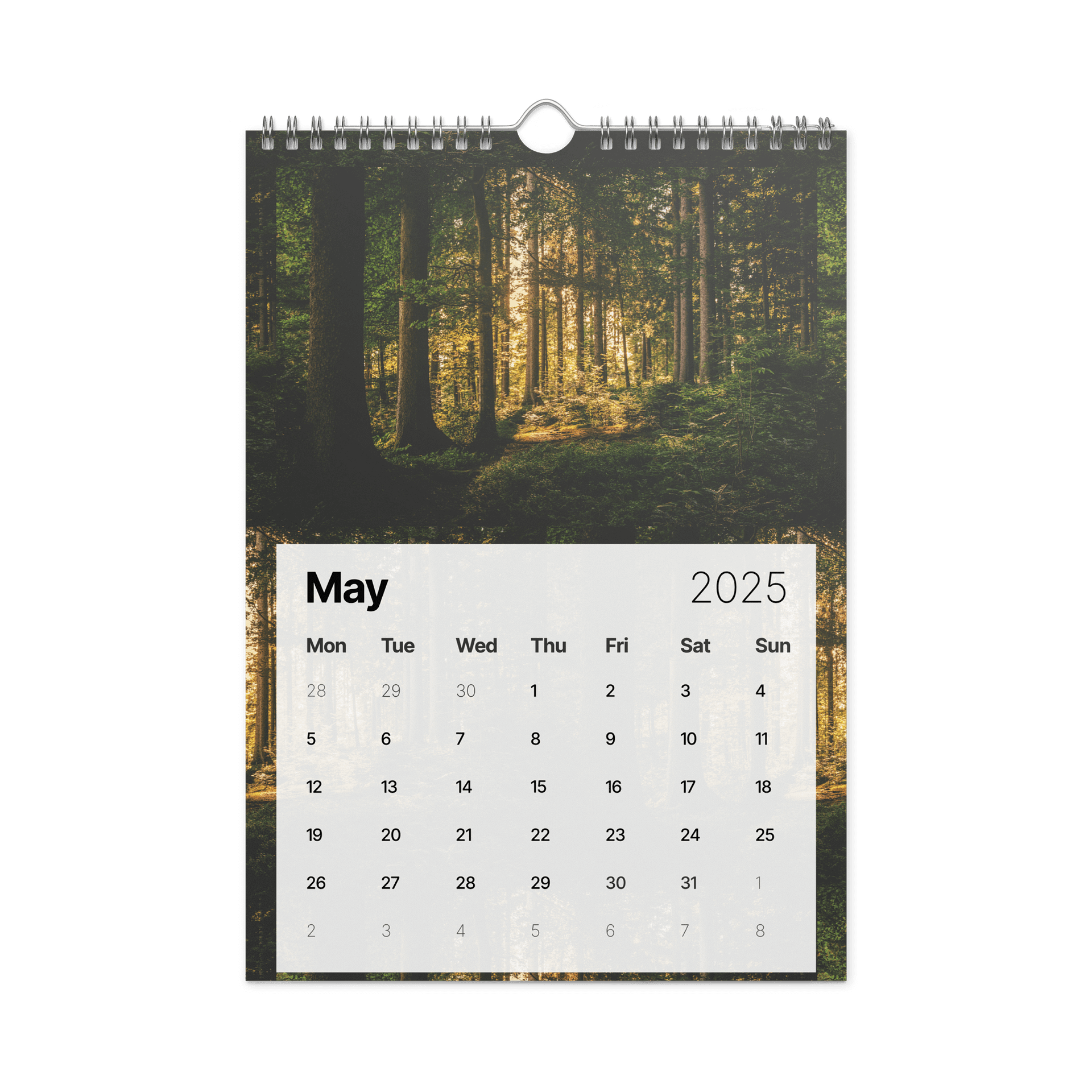 2025 Calendar product image (5)