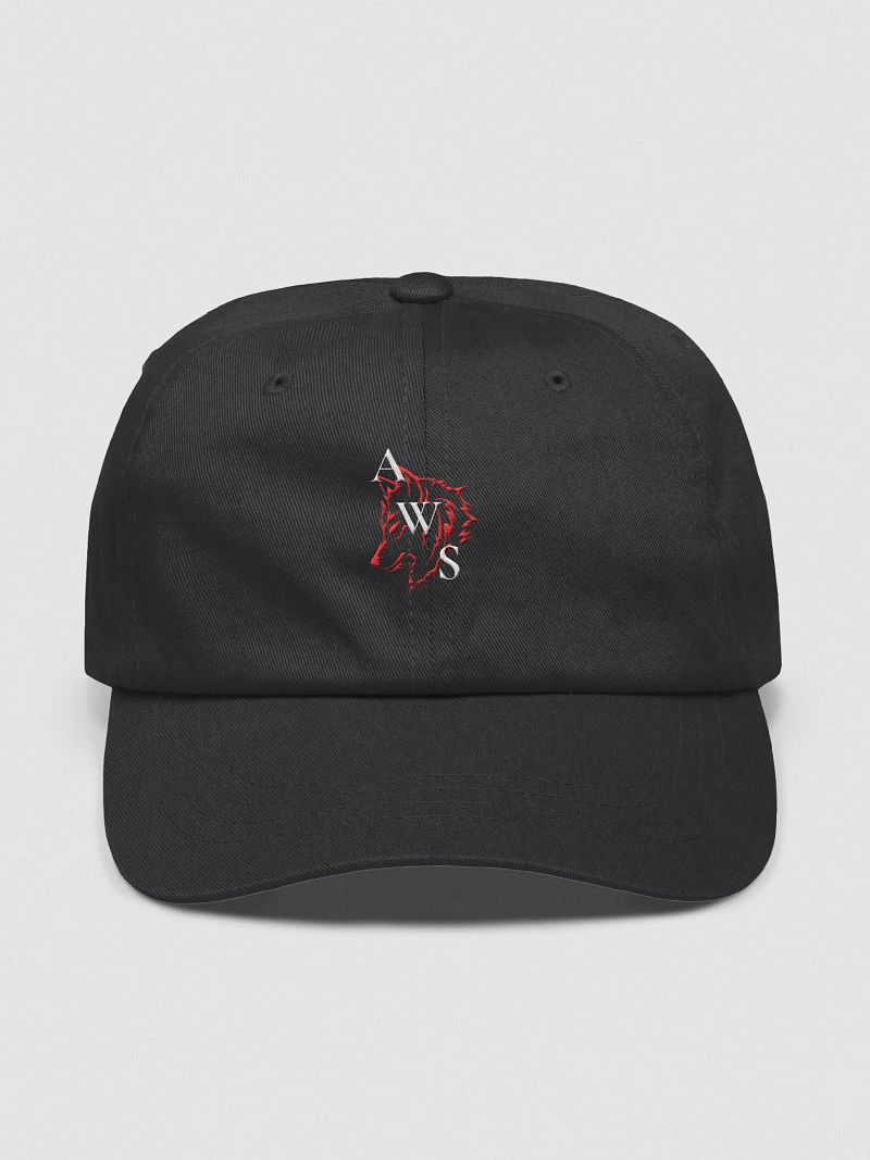 AWS Emblem Dad Hat