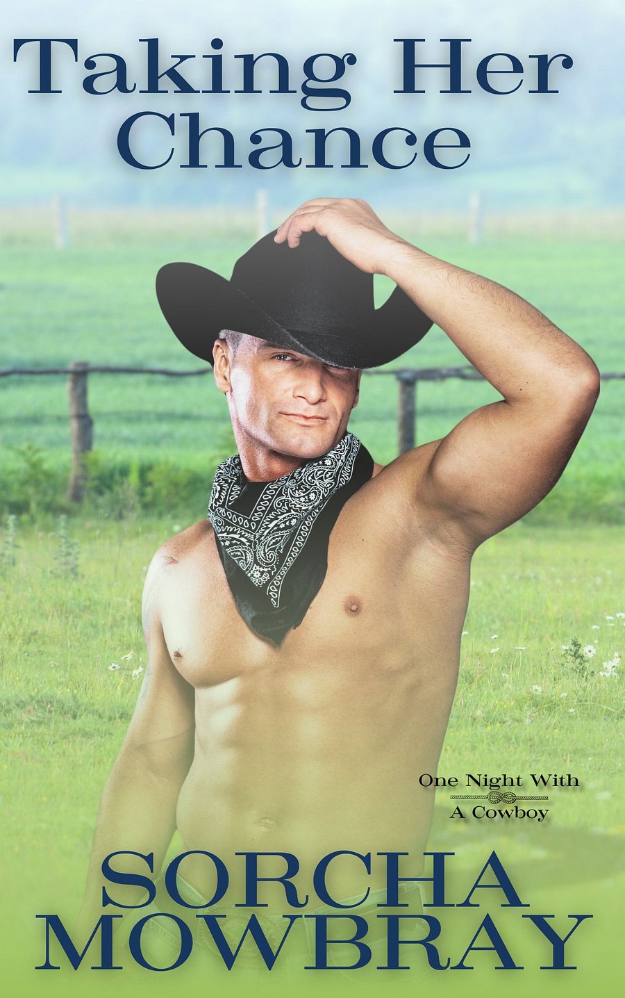 Taking Her Chance (One Night With A Cowboy, Book 1) product image (2)
