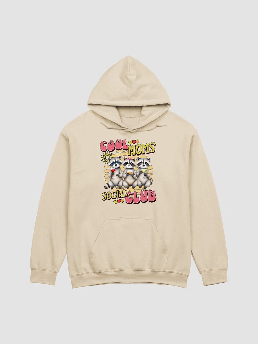 Cool Moms Social Club Raccoon Hoodie product image (14)