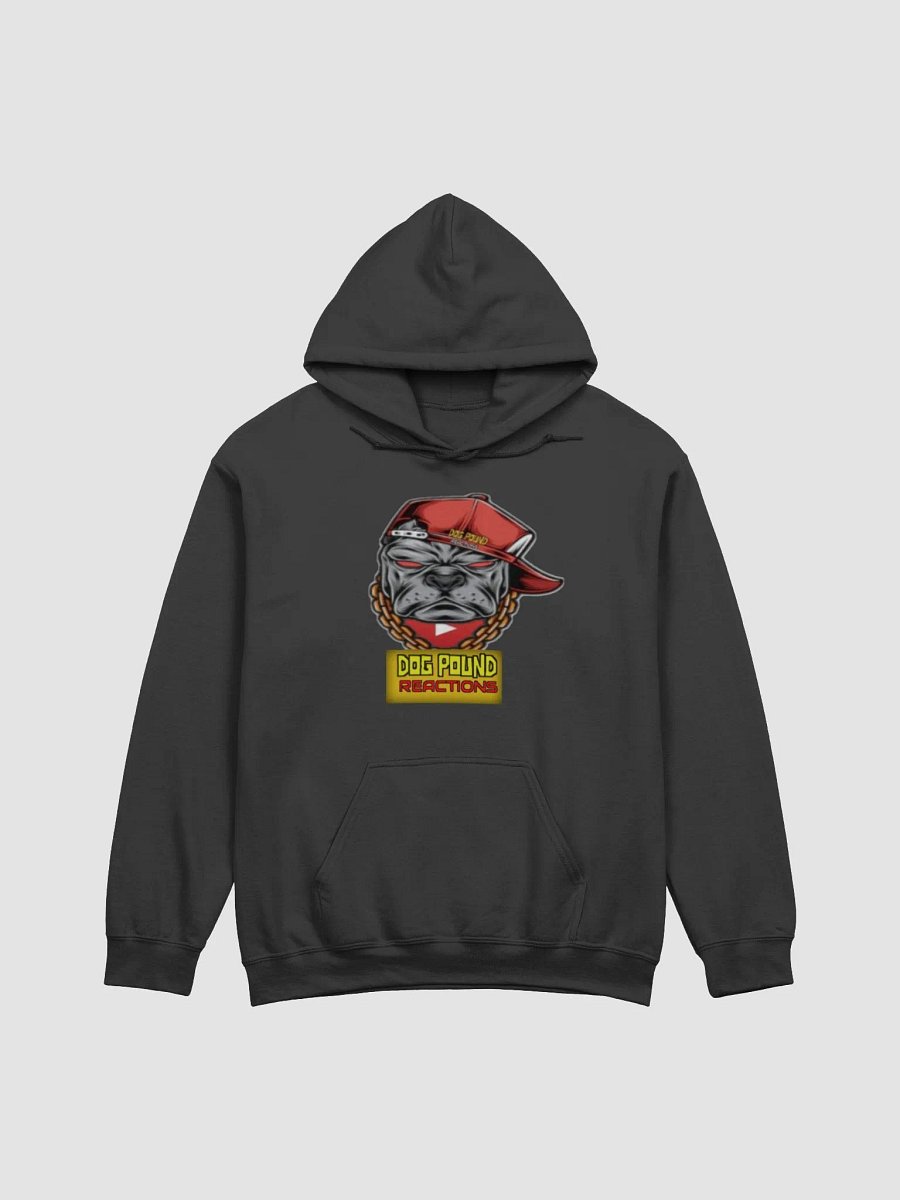 DPR Hoodie product image (1)