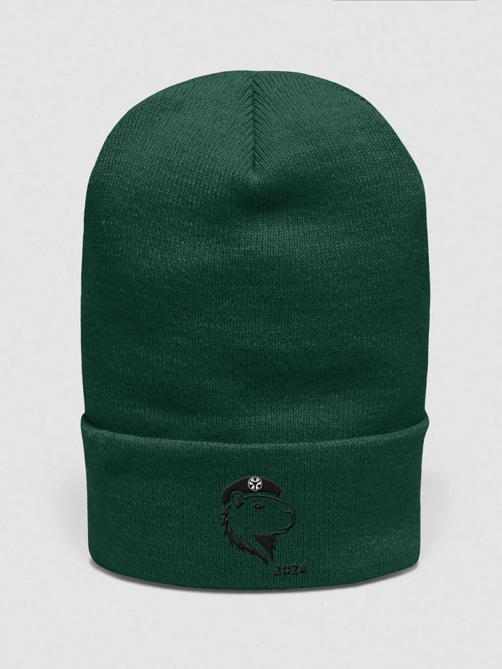 PoKa Classic Beanie - 2024 product image (1)