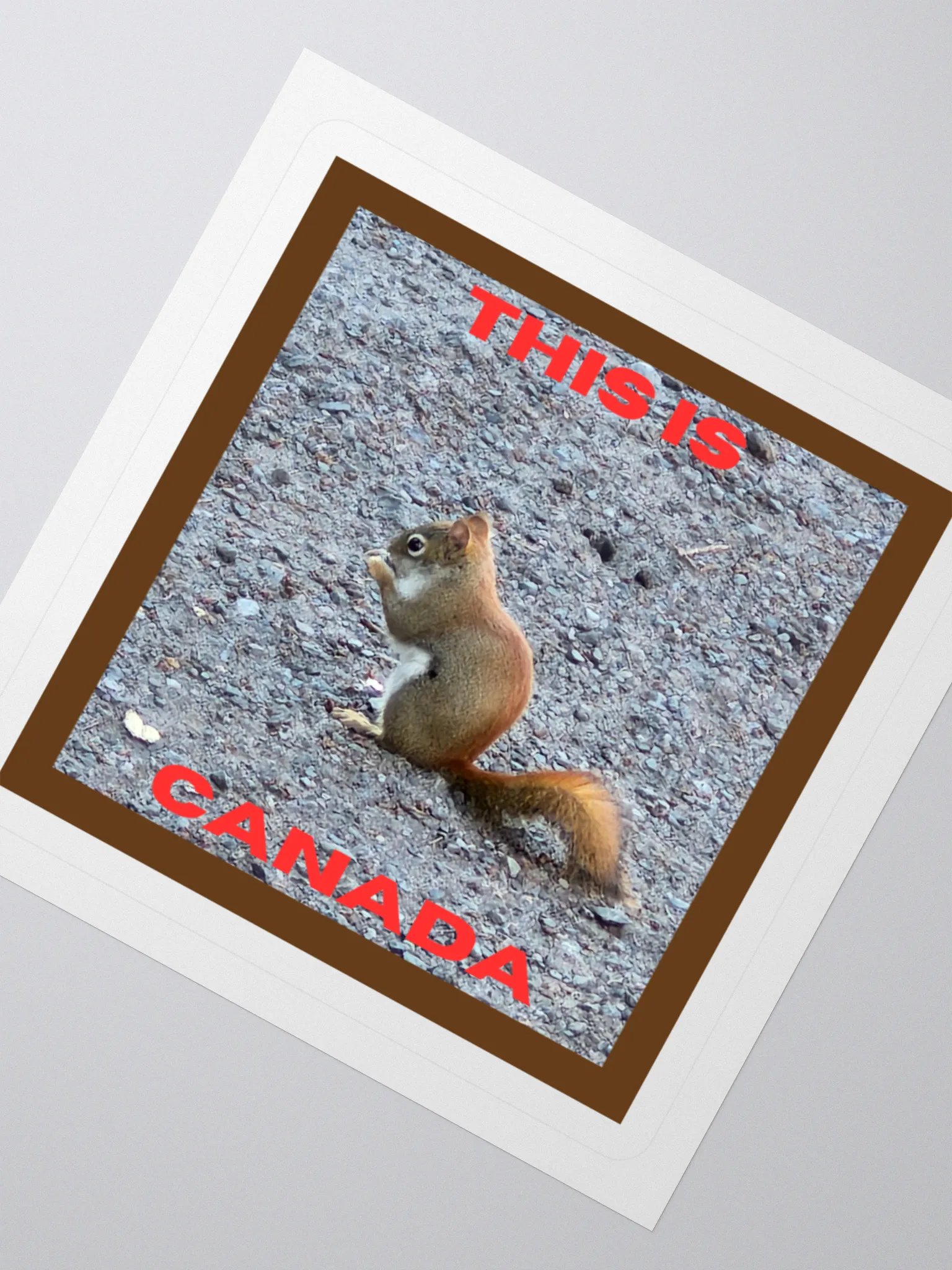 Adorable Red Squirrel Kiss Cut Stickers product image (2)