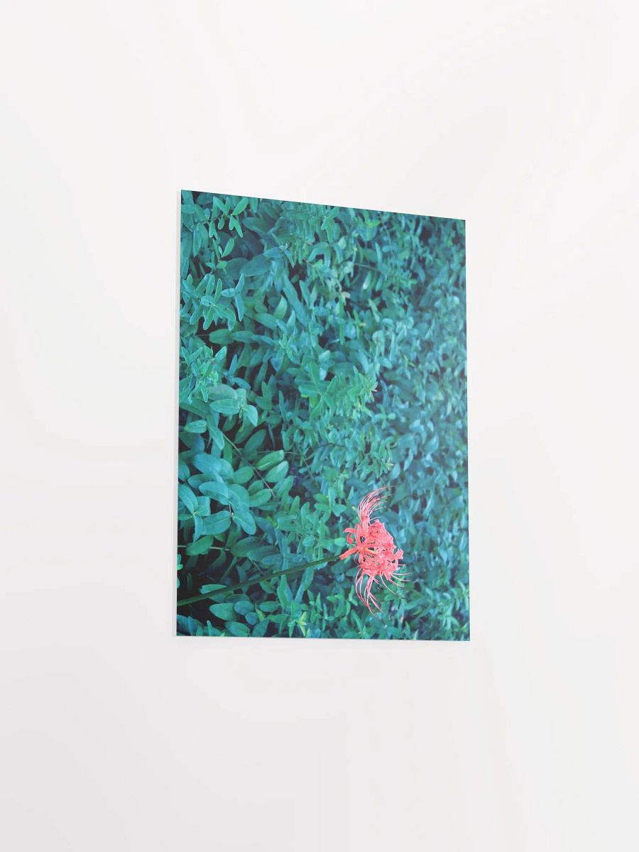 A Study in Flowers 10 product image (35)