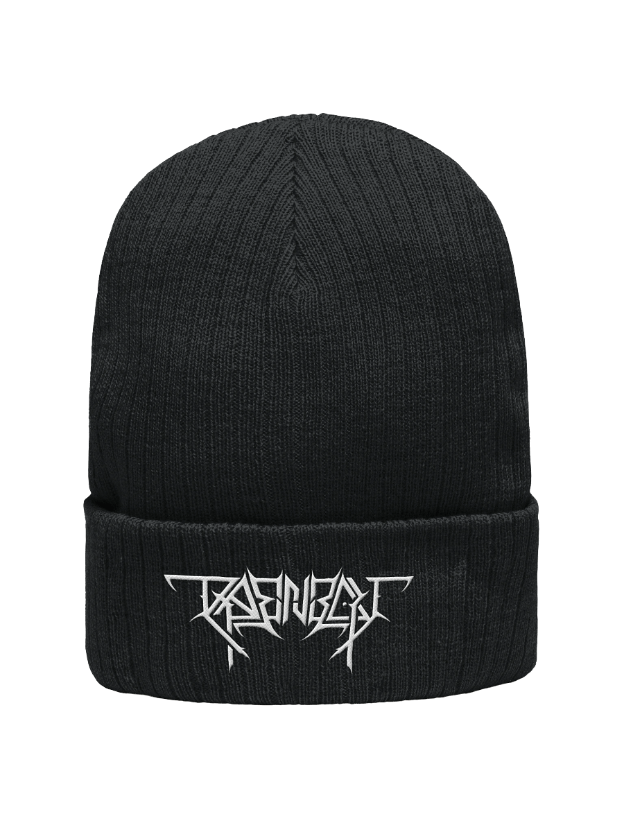 Thrash RAENBOU Beanie product image (1)