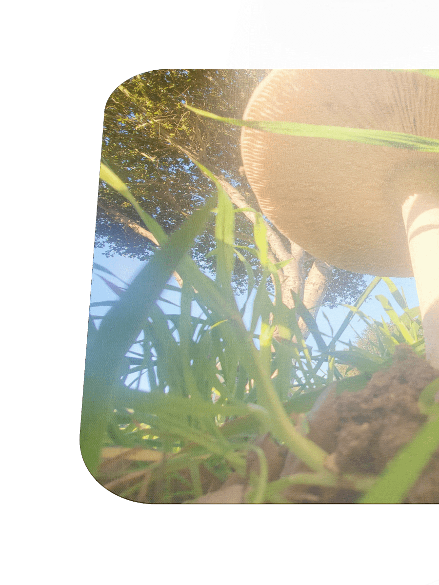 Sunlit Mushroom Mouse Pad product image (6)