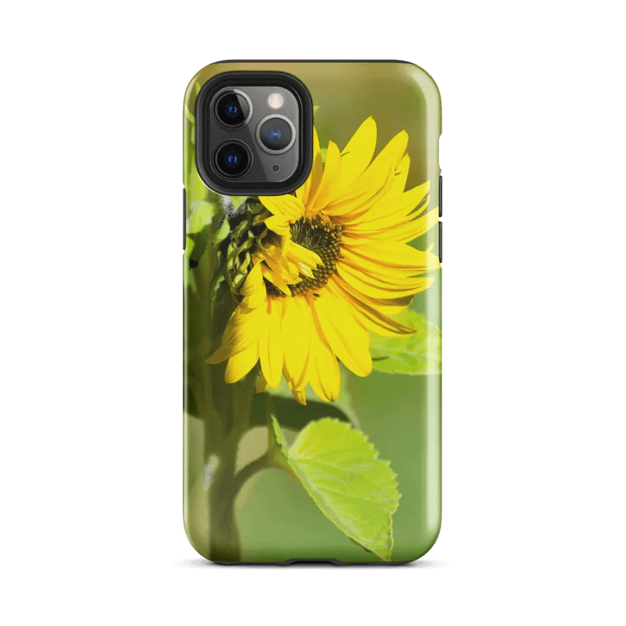 Tough Case iPhone®: Sunflower in early autumn product image (2)