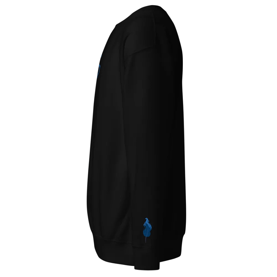 RISE Sweaty SPECIAL product image (37)