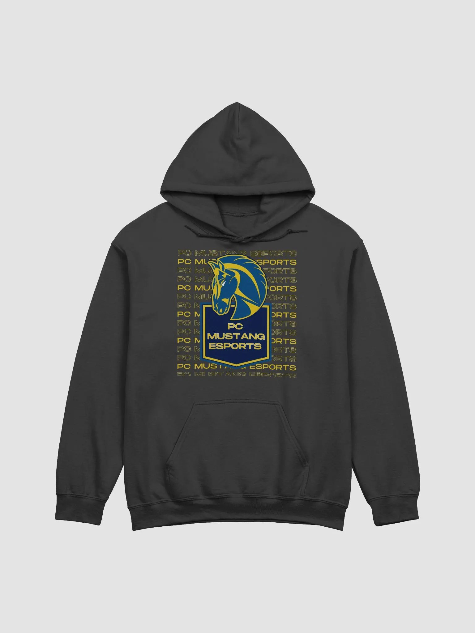 PC Hoodie 2 product image (1)