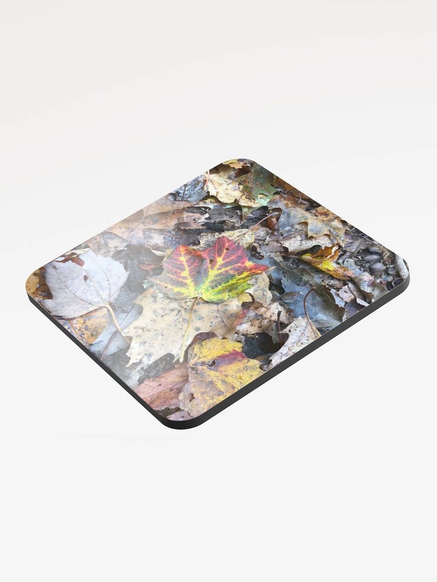 Fall Leaves Cork Coaster product image (3)