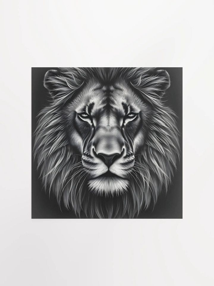 Lion product image (2)
