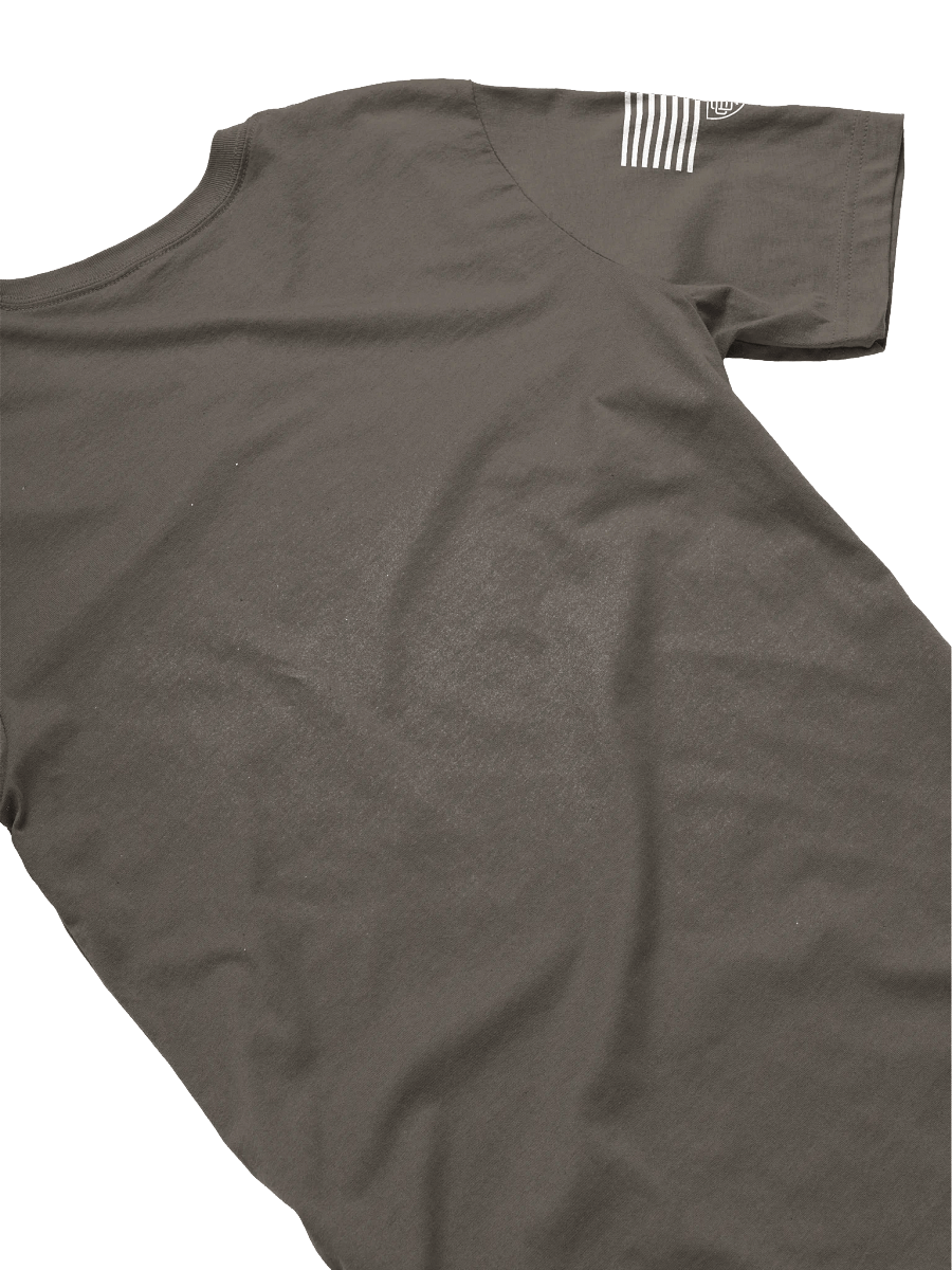 Screaming Eagles - 101st Airborne Division "Distressed" T-Shirt product image (23)