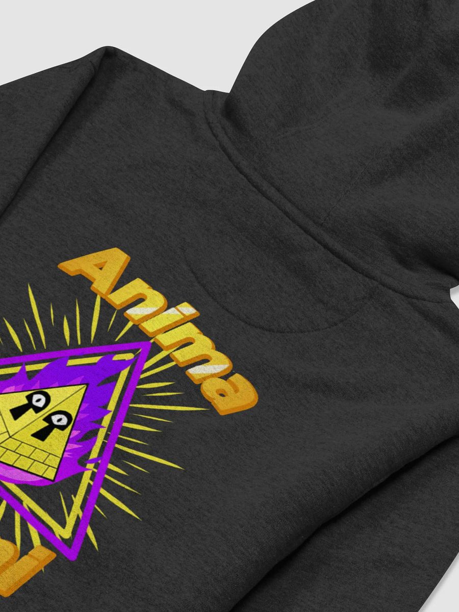 Anima Alumni Hoodie product image (4)