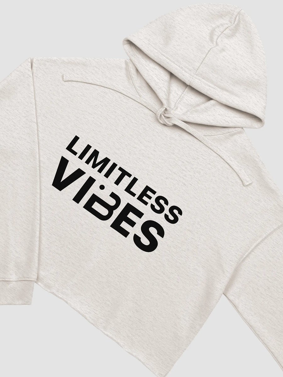 BUIII Limitless Vibes Fleece Crop Hoodie product image (11)