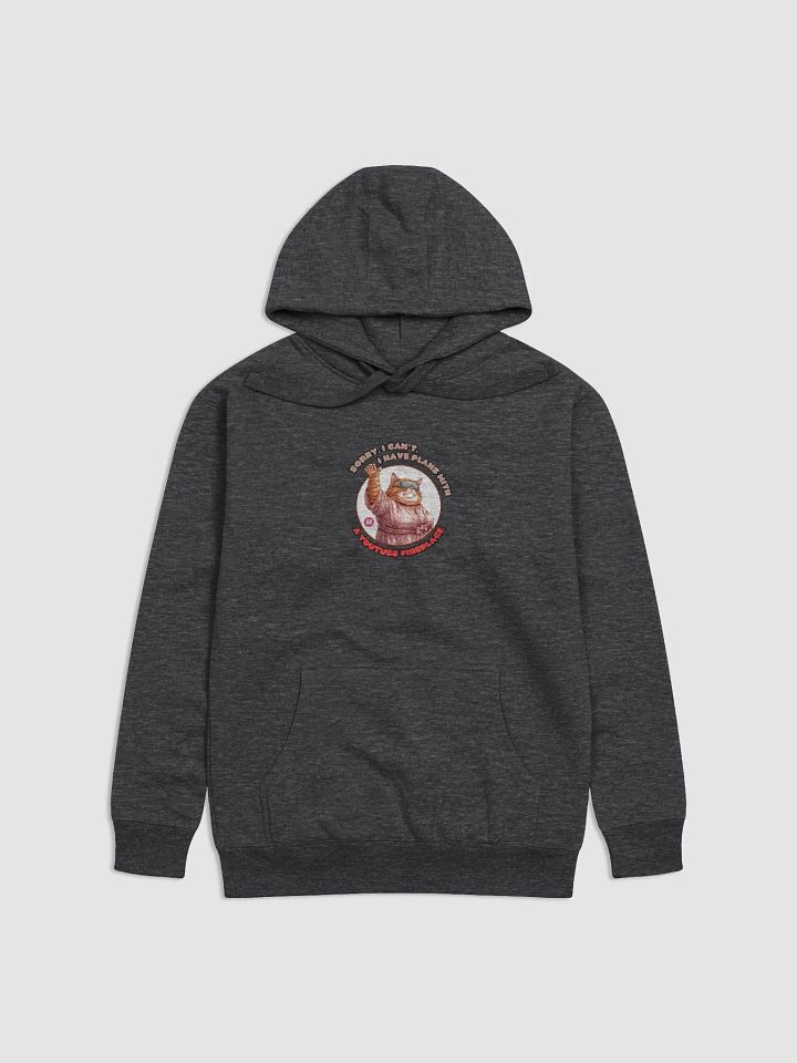 Cozy Cat - Sorry, I can't. I Have Plans With a YouTube Fireplace | Hoodie product image (1)
