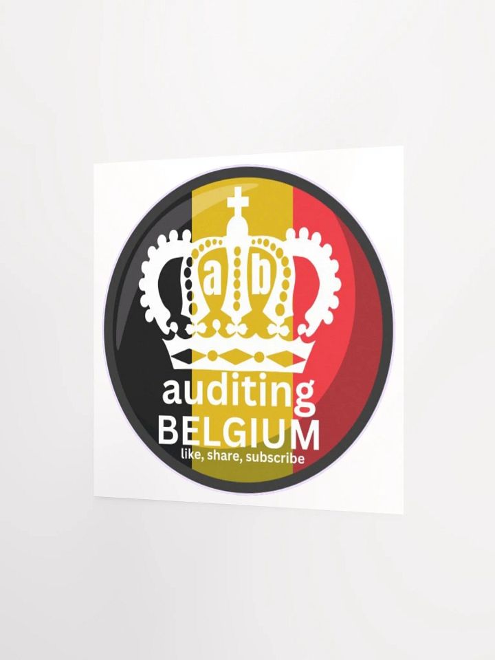 AUDITING BELGIUM product image (2)