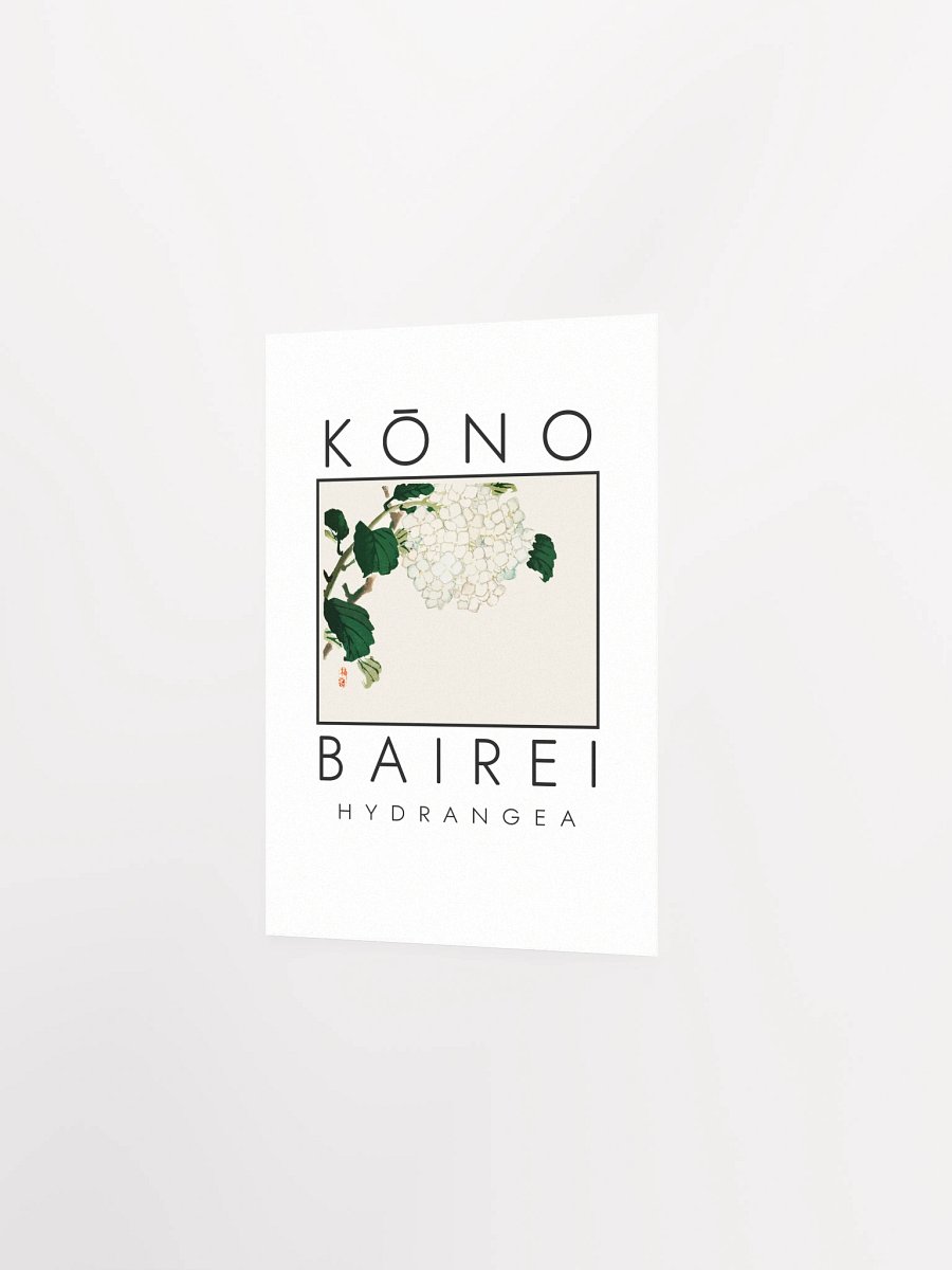 Kono Bairei Hydrangea Flower Poster product image (3)