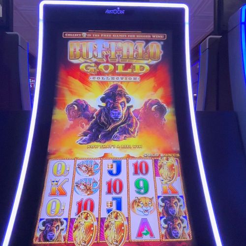 Buffalo Gold BONANZA! 8 Free Games Turned HUGE Win!

Join us for thrilling Buffalo Gold Collection slot action! Watch as we t...