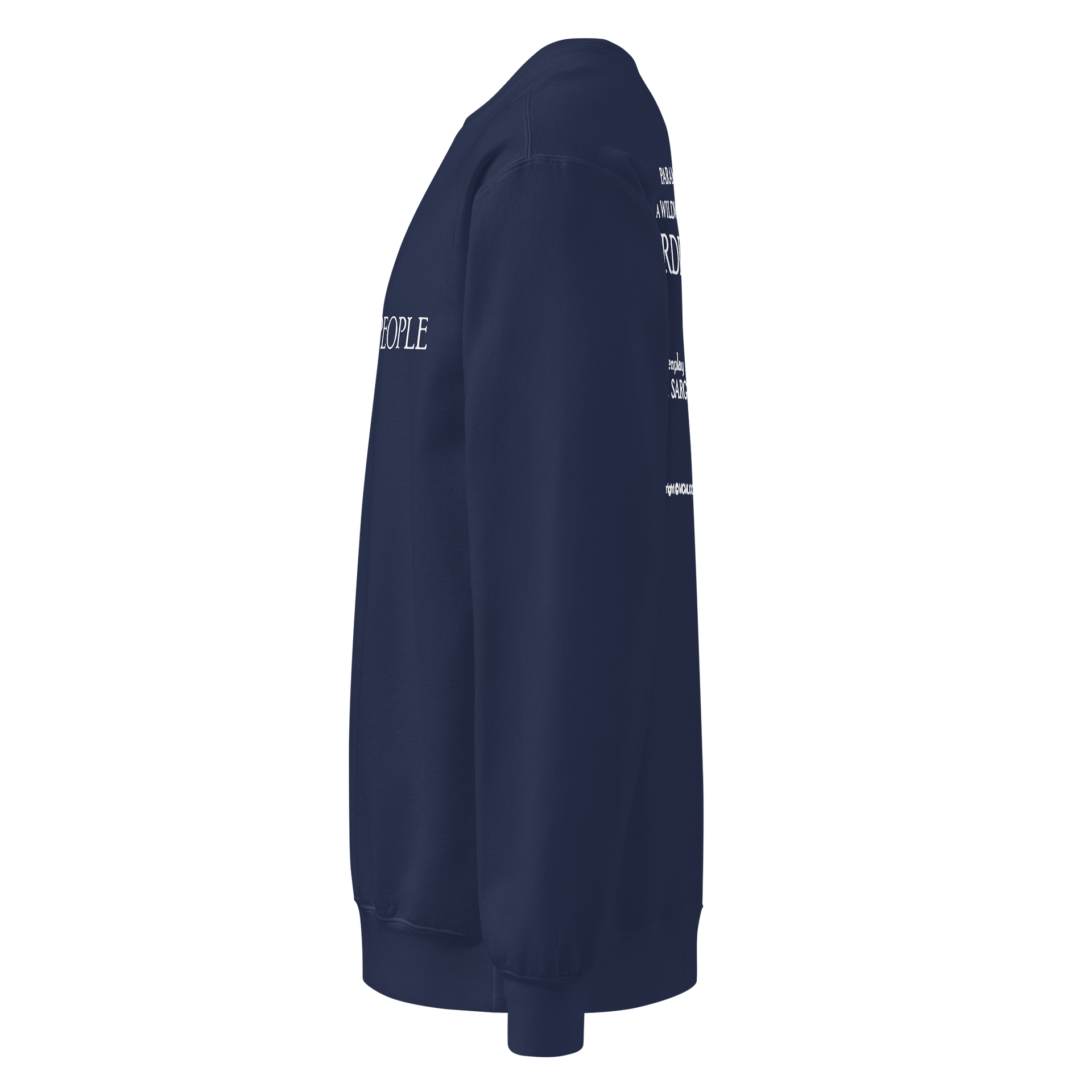 Ordinary People Garment-dyed Crewneck Sweatshirt product image (3)