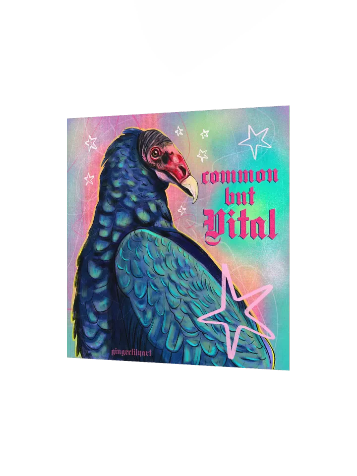 turkey vulture print product image (3)