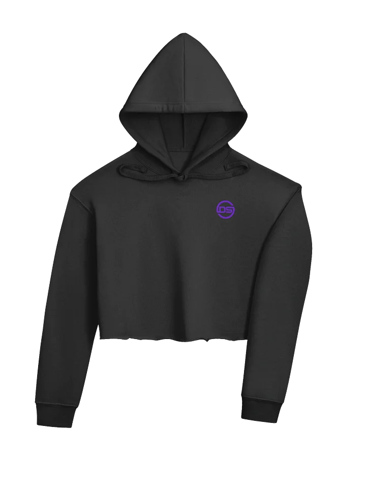 DS - Crop Hoodie product image (2)