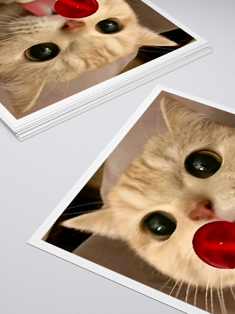 Kiss Cut Stickers: Meme Cats product image (4)