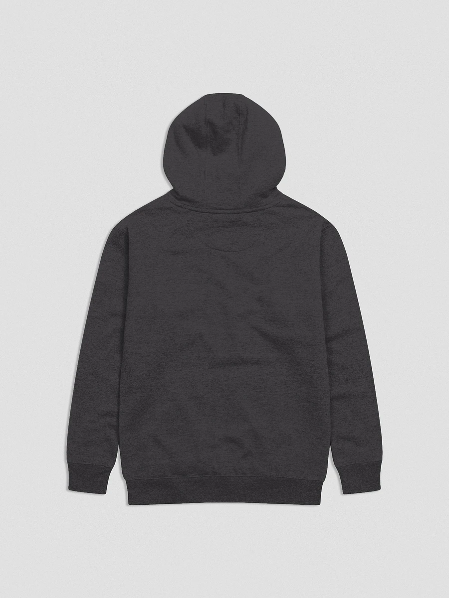 DT Classic Logo Hoodie product image (4)