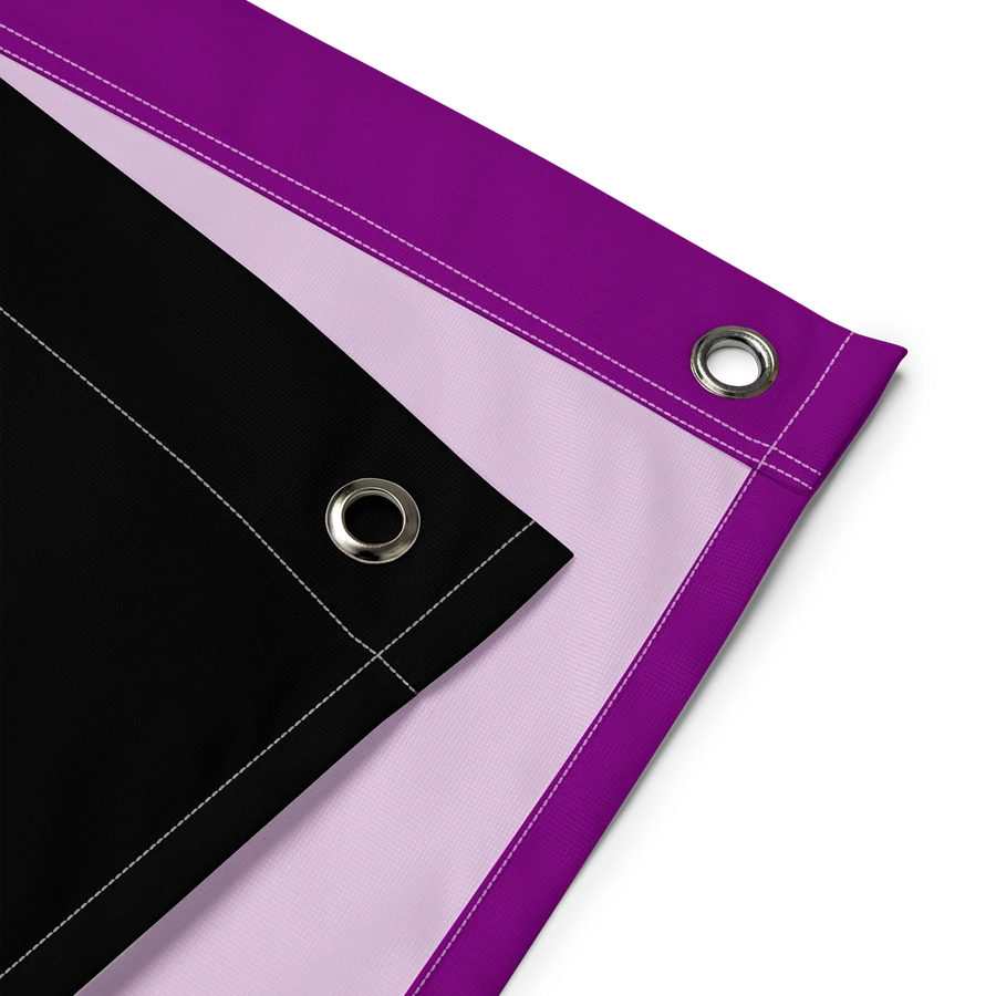 Asexual Pride Flag product image (3)