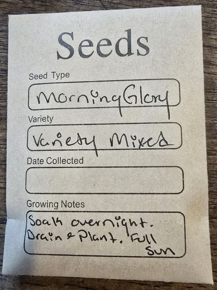 SEEDS! Updated! product image (1)