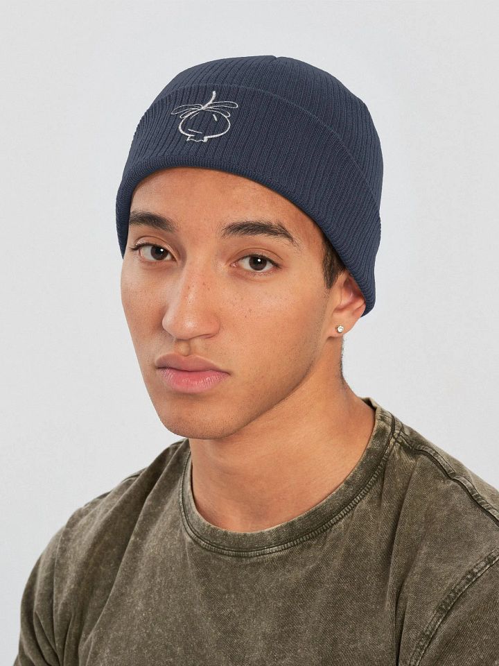 Pomegranate Beanie Beechfield product image (3)