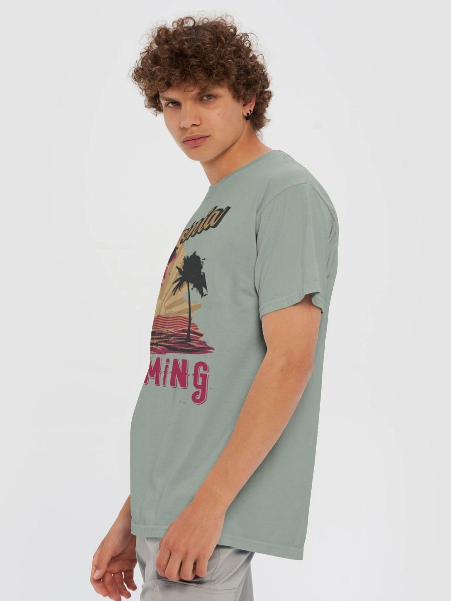 CALIFORNIA DREAMING product image (84)