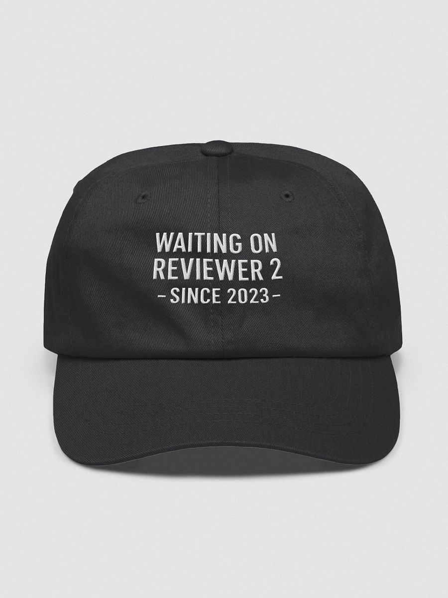 Reviewer 2 Cap product image (1)