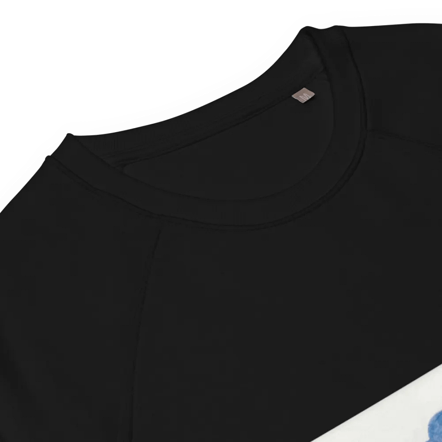 Kid Airplane (SOL'S Unisex Organic Raglan Sweatshirt) product image (8)