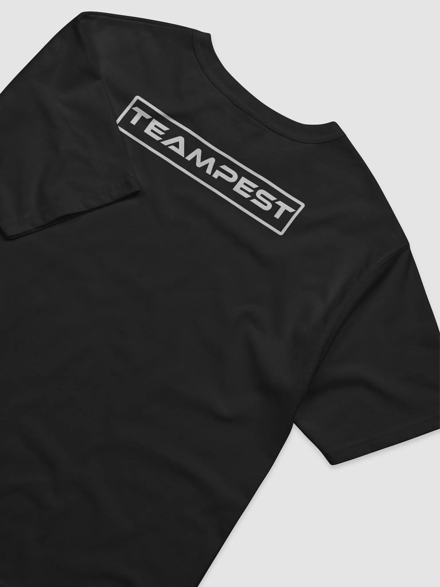 TeamPEST X Champion Relaxed-fit T-Shirt product image (7)