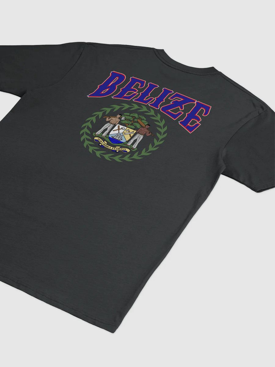 Team Belize Men's Premium Tee product image (4)