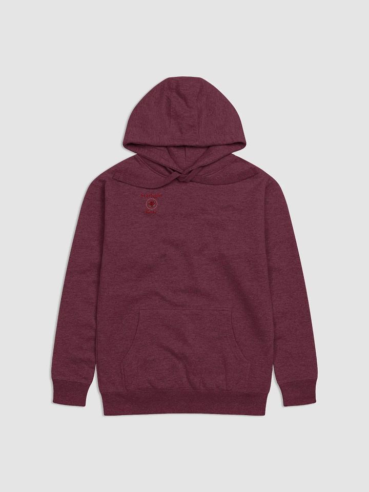 Starlight VT Hoodie product image (4)