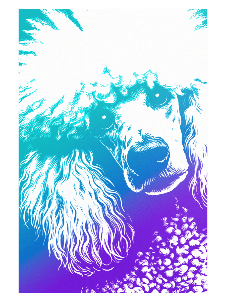 Pop Art Poodle Print / Frame Not Included product image (1)
