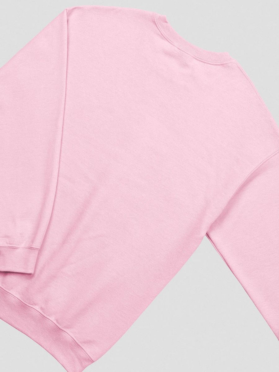 BCA Crewneck product image (4)