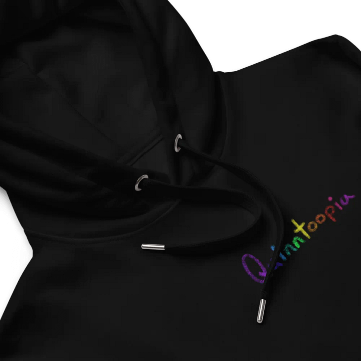 Quinntoopia Brand Hoodie product image (2)