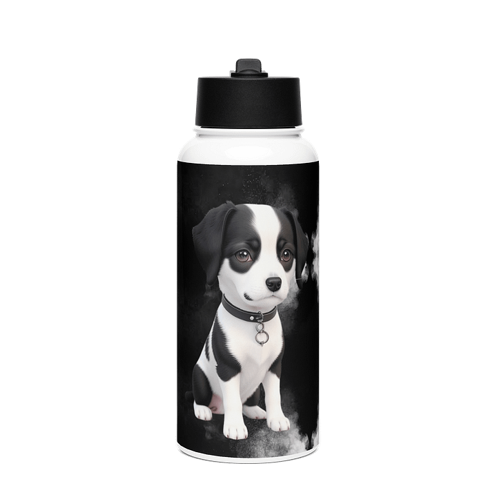 WallE Stainless Steel Water Bottle with a Straw Lid product image (1)