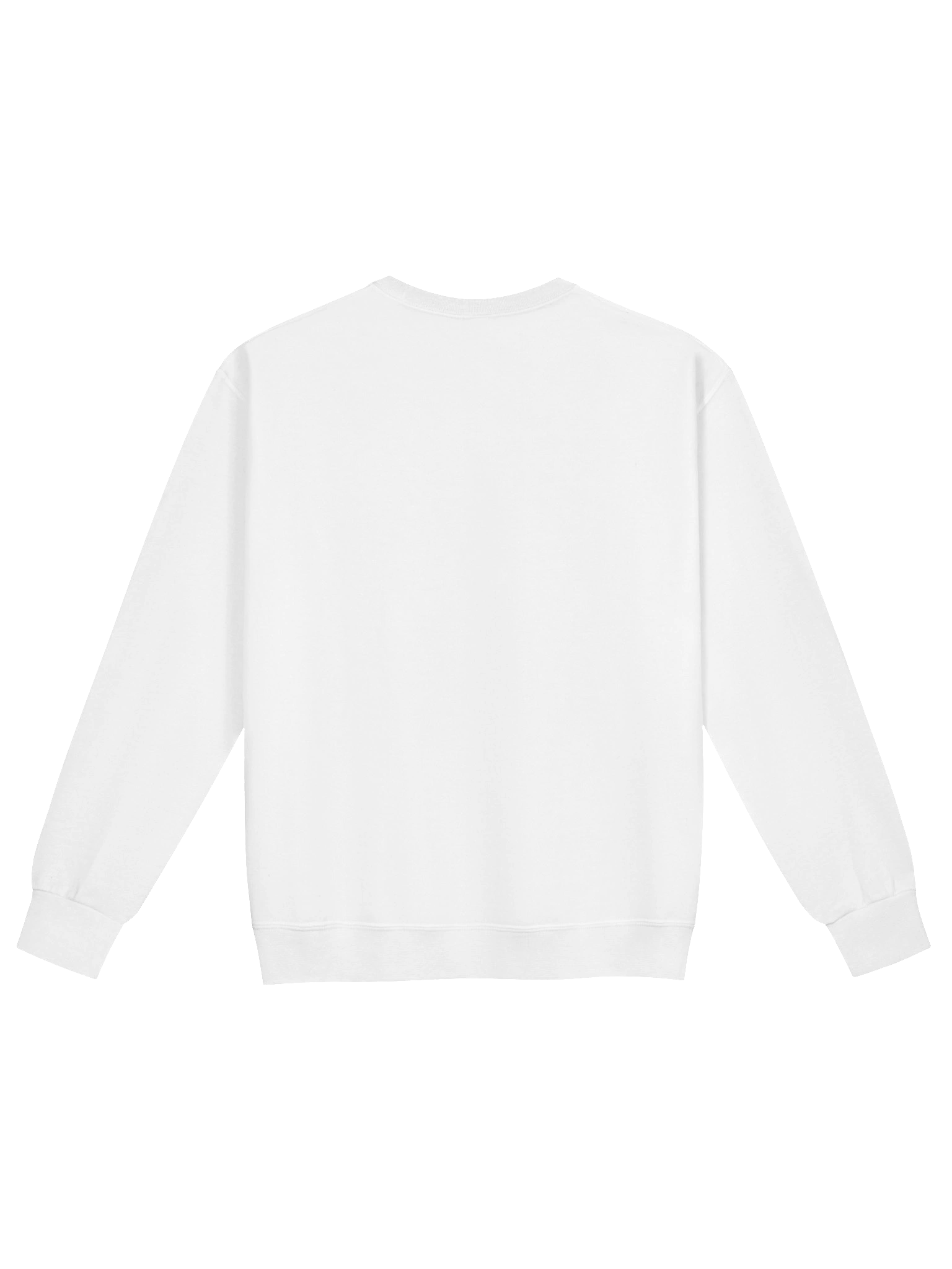 Sweat « Résistant Moderne – Spécial 2027 » product image (2)