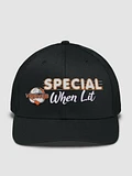 Special When Lit Embroidered RICHARDSON TRUCKER SNAPBACK product image (4)