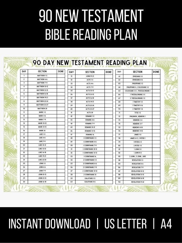 90 Day New Testament Printable Bible Reading Plan product image (1)