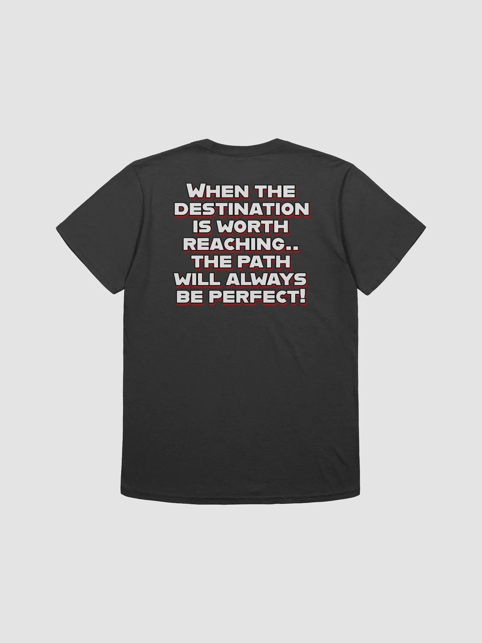 AlphaXSynergy Gildan Unisex Softstyle T-Shirt Front Logo - Back Quote product image (2)