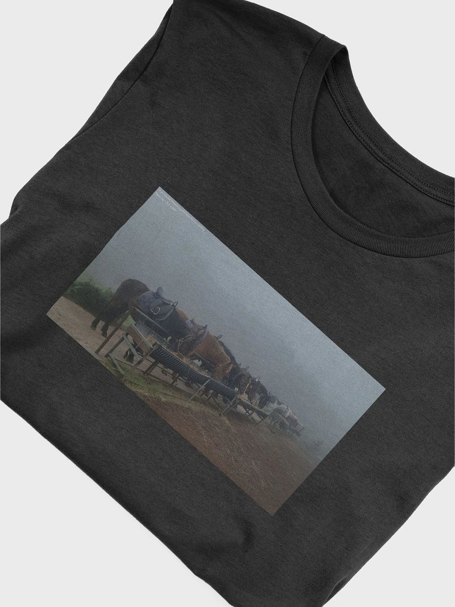 Jeju Island Unesco fog Korean horses resting Photo by 이경도 2023 product image (5)