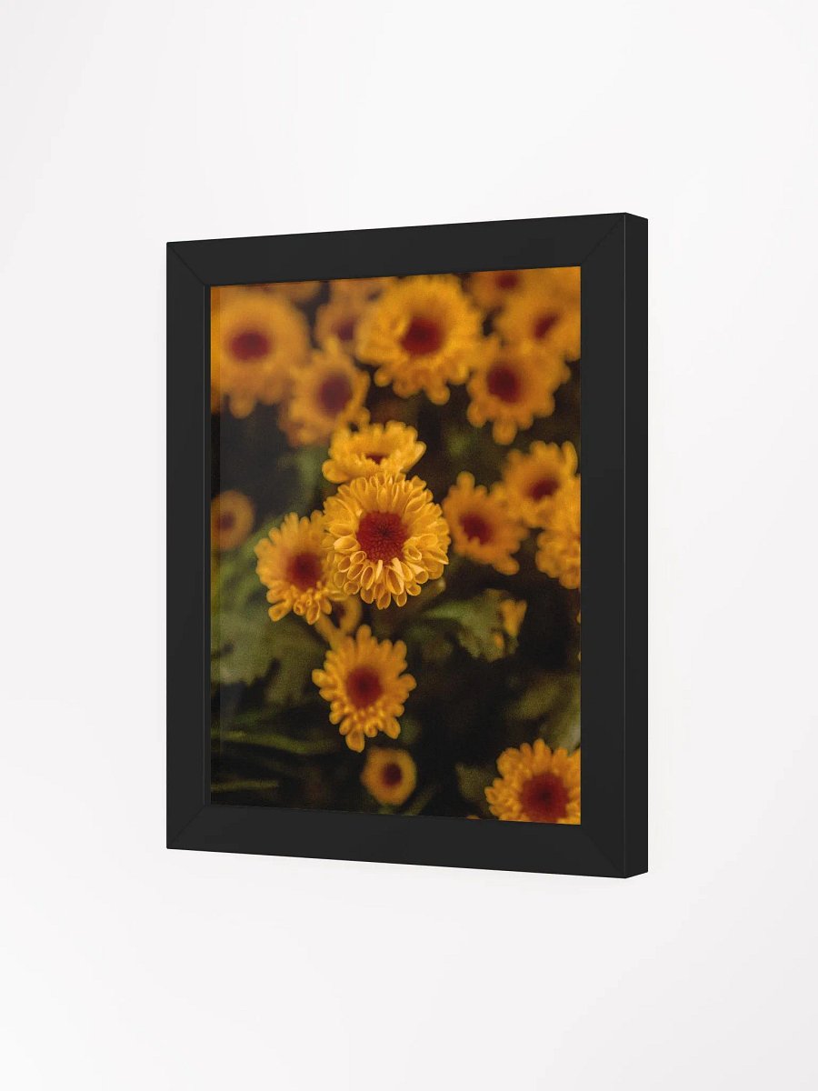 Daisies (with frame) product image (15)