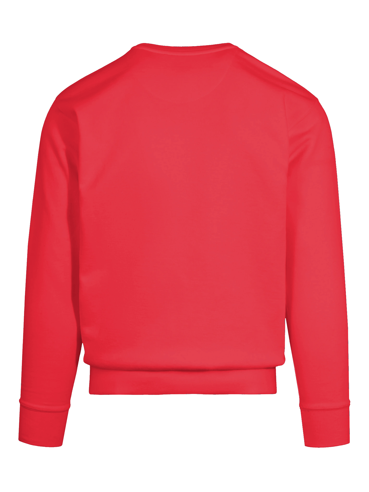 Ancestral Healing Energy — Spiritual Roots Unisex Sweater (Black Words) product image (11)