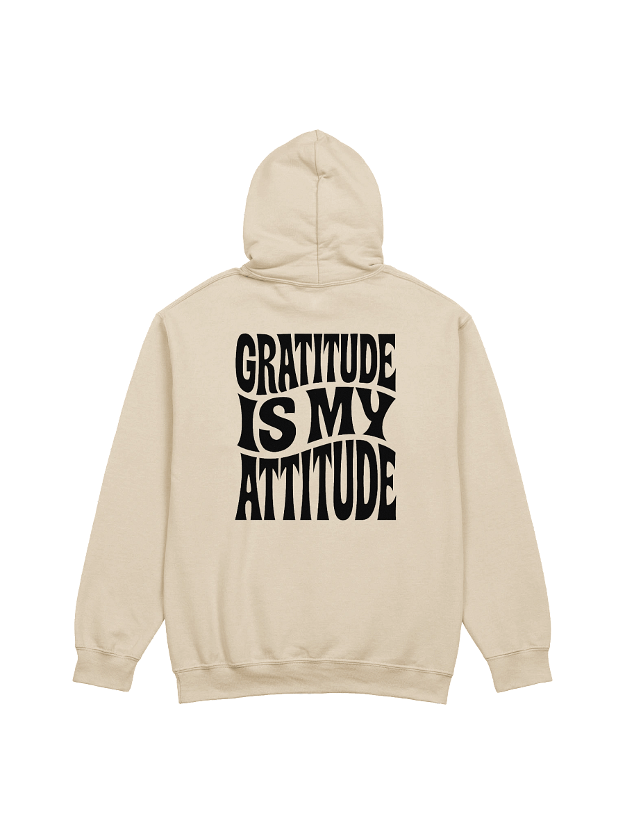 Gratitude Is My Attitude Hoodie product image (1)