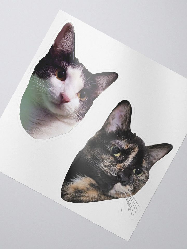 Iris & Roxy Sticker Set product image (2)